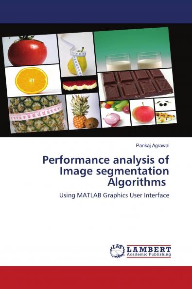 Performance analysis of Image segmentation Algorithms
