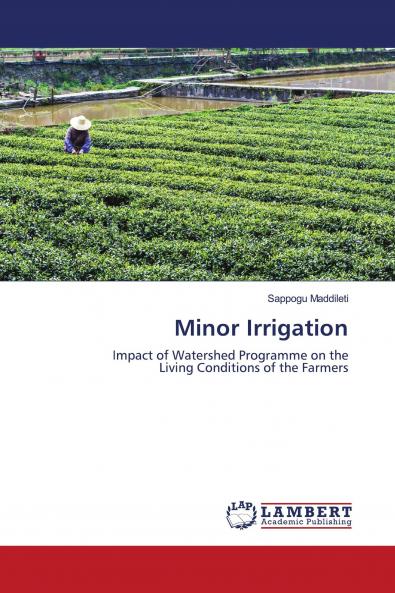 Minor Irrigation