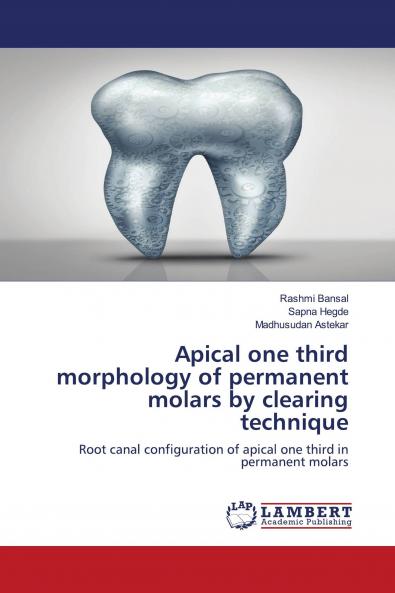Apical one third morphology of permanent molars by clearing technique