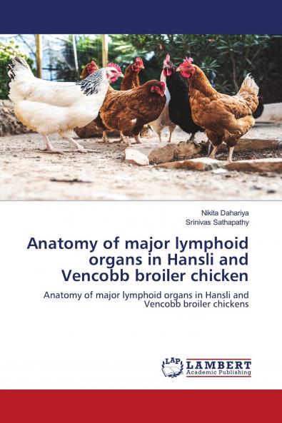 Anatomy of major lymphoid organs in Hansli and Vencobb broiler chicken