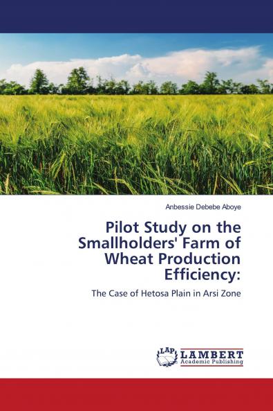 Pilot Study on the Smallholders' Farm of Wheat Production Efficiency: