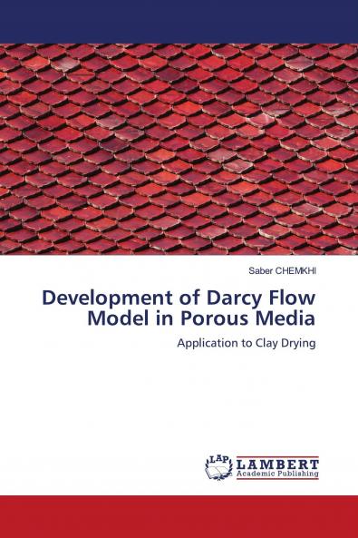 Development of Darcy Flow Model in Porous Media