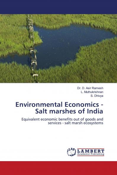 Environmental Economics -Salt marshes of India