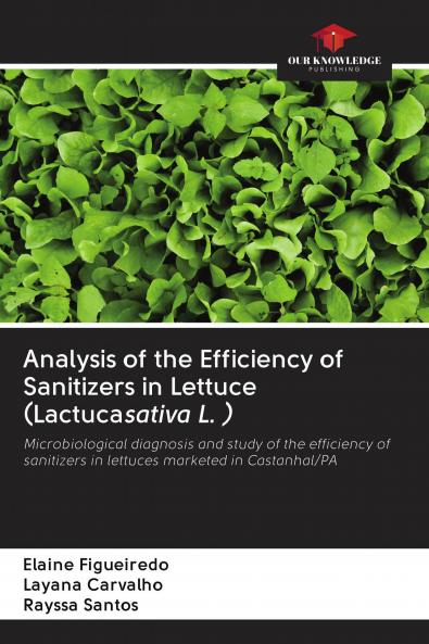 Analysis of the Efficiency of Sanitizers in Lettuce (Lactucasativa L. )