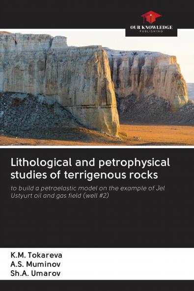 Lithological and petrophysical studies of terrigenous rocks