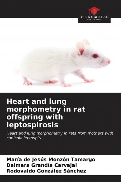 Heart and lung morphometry in rat offspring with leptospirosis