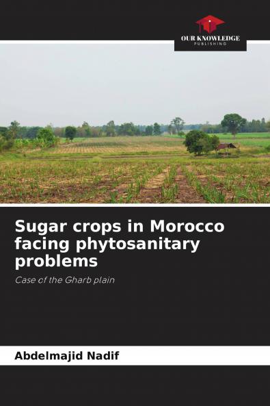 Sugar crops in Morocco facing phytosanitary problems