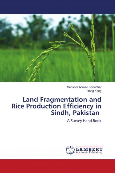 Land Fragmentation and Rice Production Efficiency in Sindh Pakistan