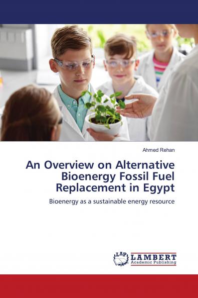 An Overview on Alternative Bioenergy Fossil Fuel Replacement in Egypt