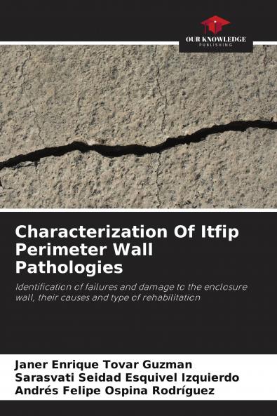 Characterization Of Itfip Perimeter Wall Pathologies