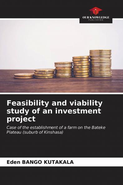 Feasibility and viability study of an investment project