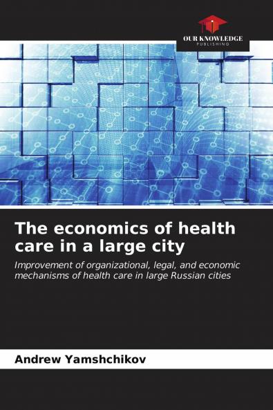 The economics of health care in a large city