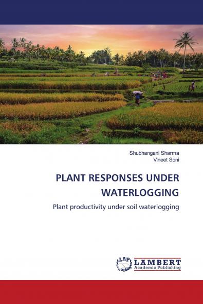 PLANT RESPONSES UNDER WATERLOGGING
