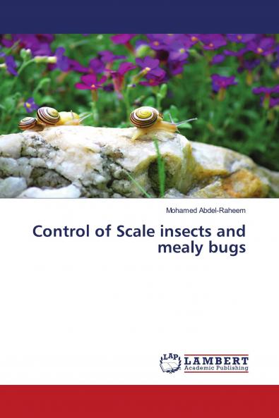 Control of Scale insects and mealy bugs