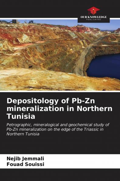 Depositology of Pb-Zn mineralization in Northern Tunisia