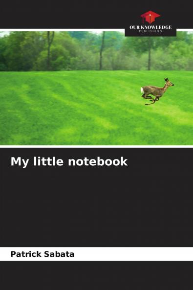My little notebook