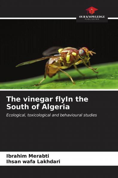 The vinegar flyIn the South of Algeria