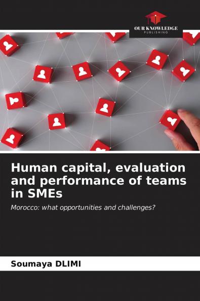 Human capital evaluation and performance of teams in SMEs