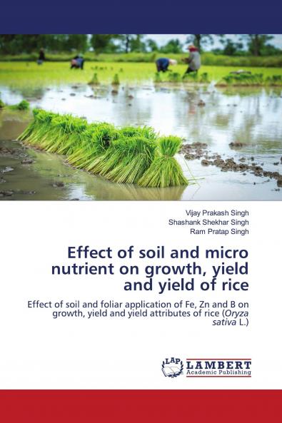 Effect of soil and micro nutrient on growth yield and yield of rice