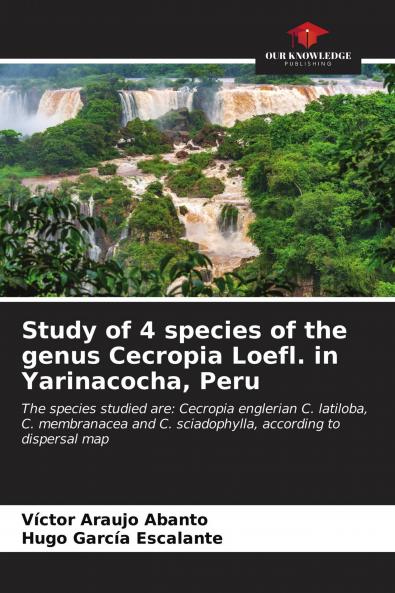 Study of 4 species of the genus Cecropia Loefl. in Yarinacocha Peru