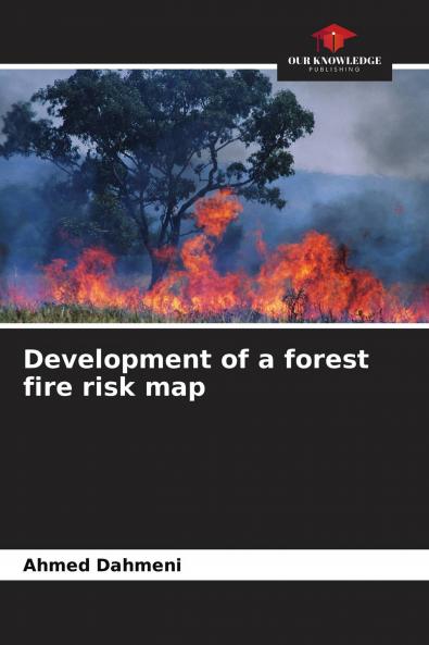 Development of a forest fire risk map
