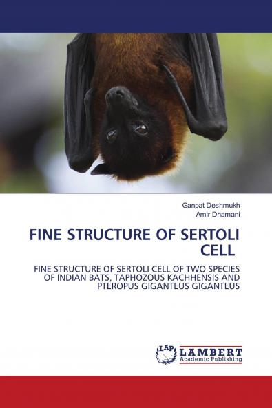 FINE STRUCTURE OF SERTOLI CELL