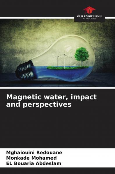 Magnetic water impact and perspectives