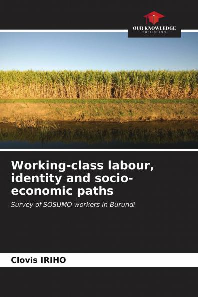 Working-class labour identity and socio-economic paths