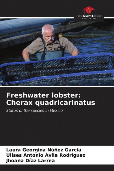 Freshwater lobster: Cherax quadricarinatus