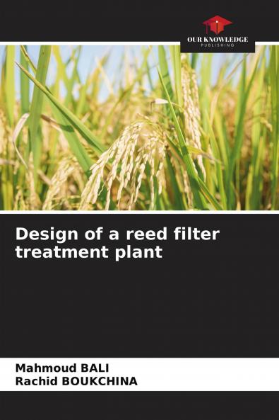 Design of a reed filter treatment plant
