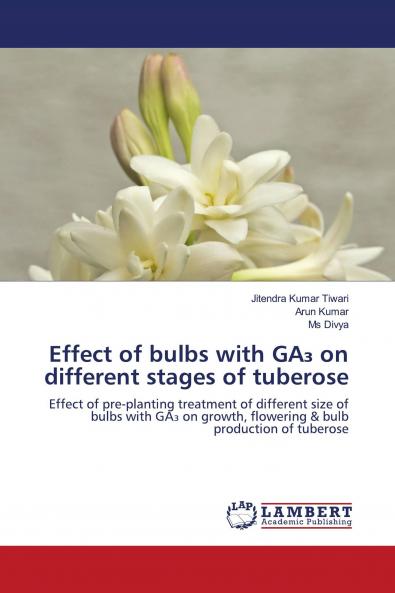 Effect of bulbs with GA��� on different stages of tuberose