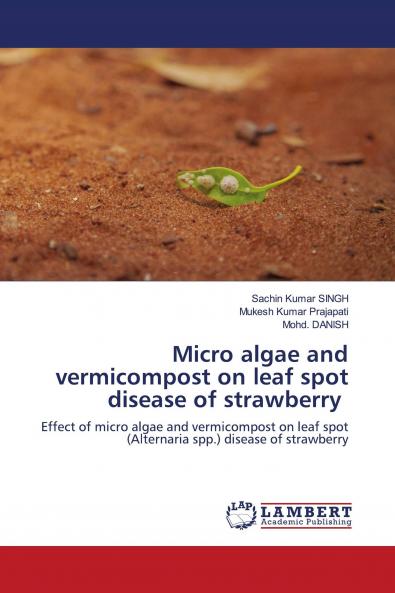 Micro algae and vermicompost on leaf spot disease of strawberry