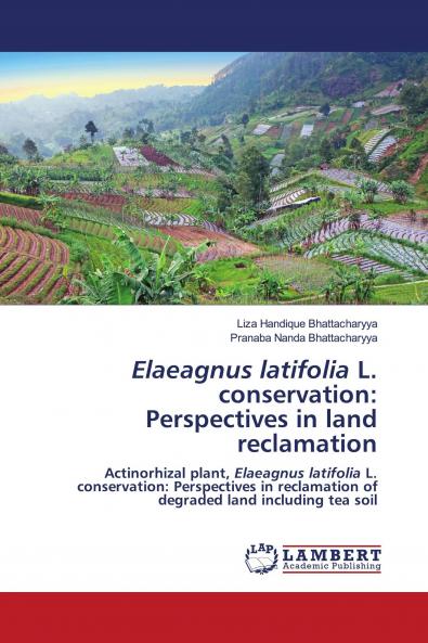 Elaeagnus latifolia L. conservation: Perspectives in land reclamation
