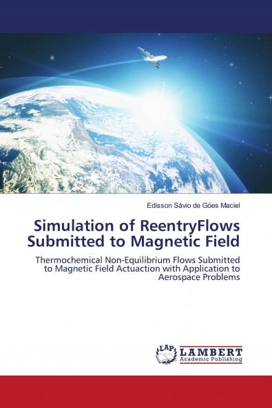 Simulation of ReentryFlows Submitted to Magnetic Field