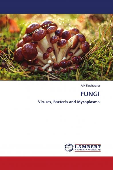 FUNGI