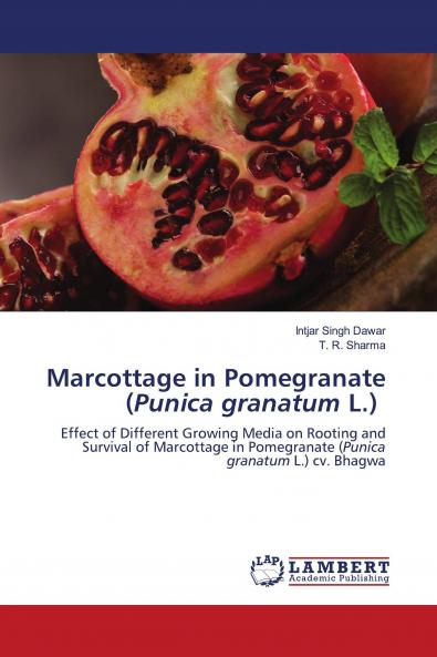 Marcottage in Pomegranate (Punica granatum L.)