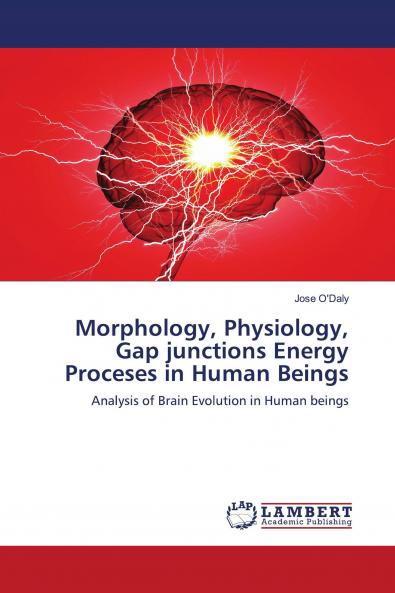 Morphology Physiology Gap junctions Energy Proceses in Human Beings