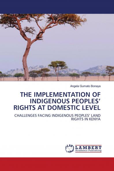 THE IMPLEMENTATION OF INDIGENOUS PEOPLES��� RIGHTS AT DOMESTIC LEVEL