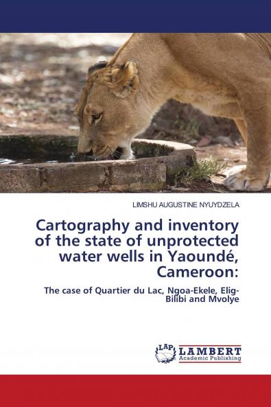 Cartography and inventory of the state of unprotected water wells in Yaound�� Cameroon: