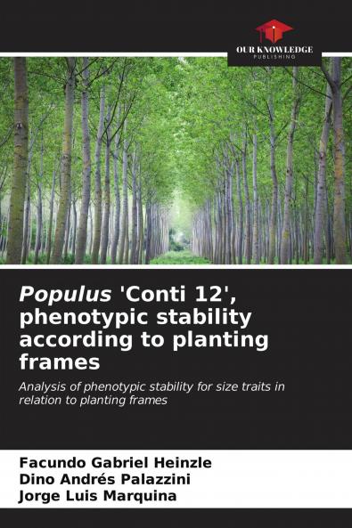 Populus 'Conti 12' phenotypic stability according to planting frames