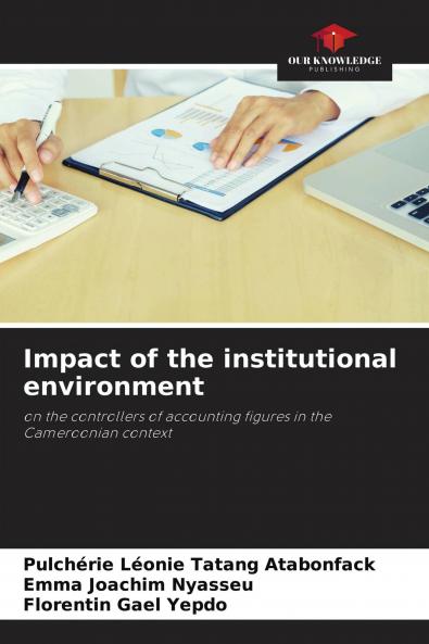Impact of the institutional environment
