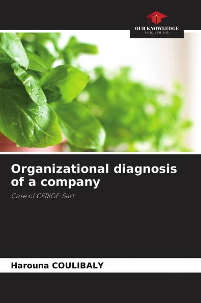 Organizational diagnosis of a company
