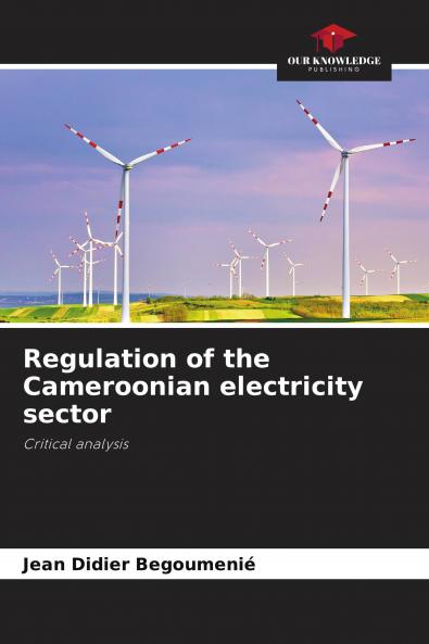Regulation of the Cameroonian electricity sector