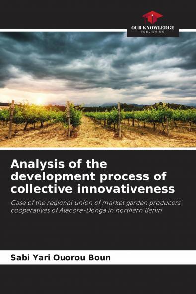 Analysis of the development process of collective innovativeness
