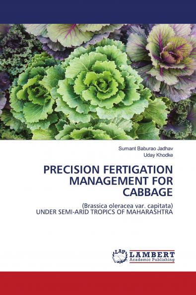 PRECISION FERTIGATION MANAGEMENT FOR CABBAGE