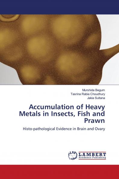 Accumulation of Heavy Metals in Insects Fish and Prawn