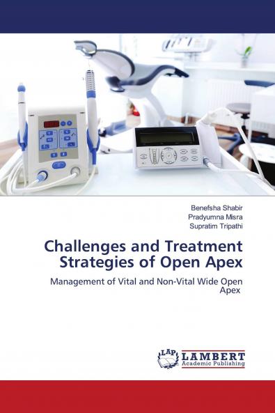 Challenges and Treatment Strategies of Open Apex
