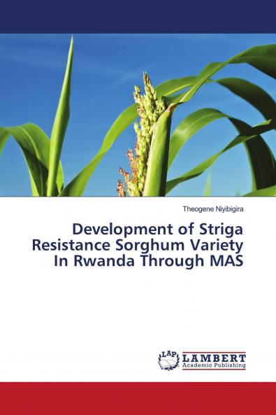 Development of Striga Resistance Sorghum Variety In Rwanda Through MAS