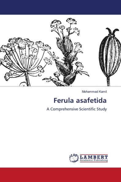 Ferula asafetida
