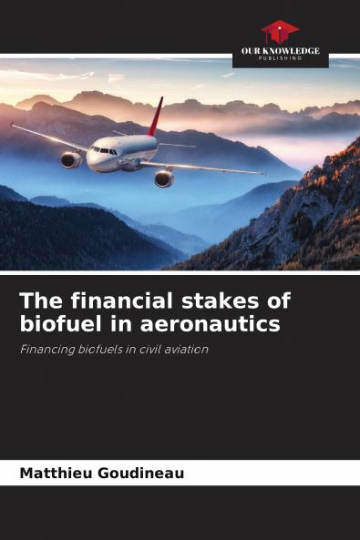 The financial stakes of biofuel in aeronautics